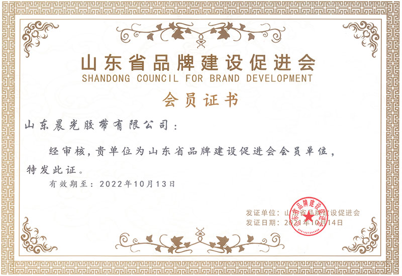 member of Shandong brand building promotion