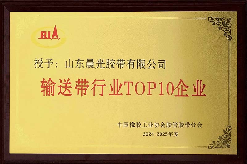 2025 conveyor belt industry top 10 enterprises